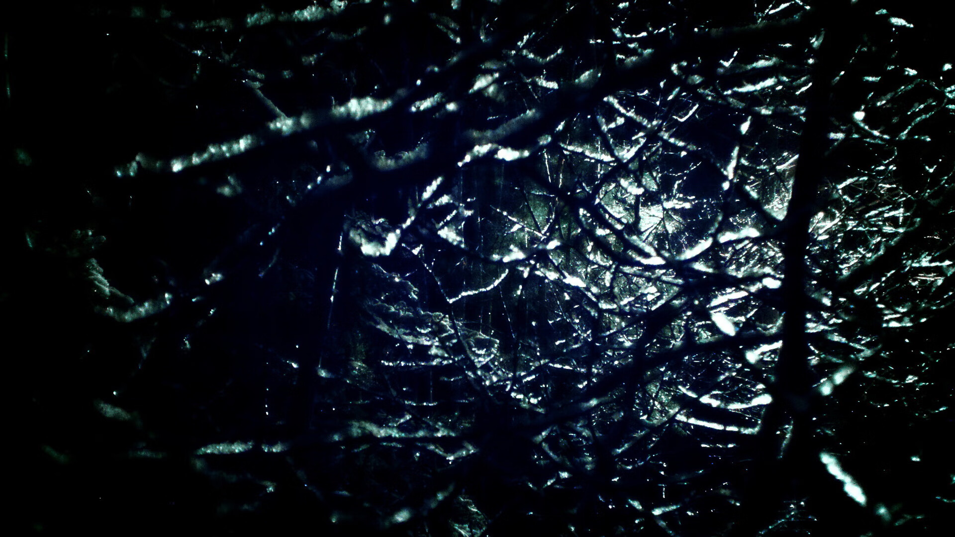 橙衣风暴的艺术,荷兰以孔德式节奏完全掌控战局,火力全开压制波兰