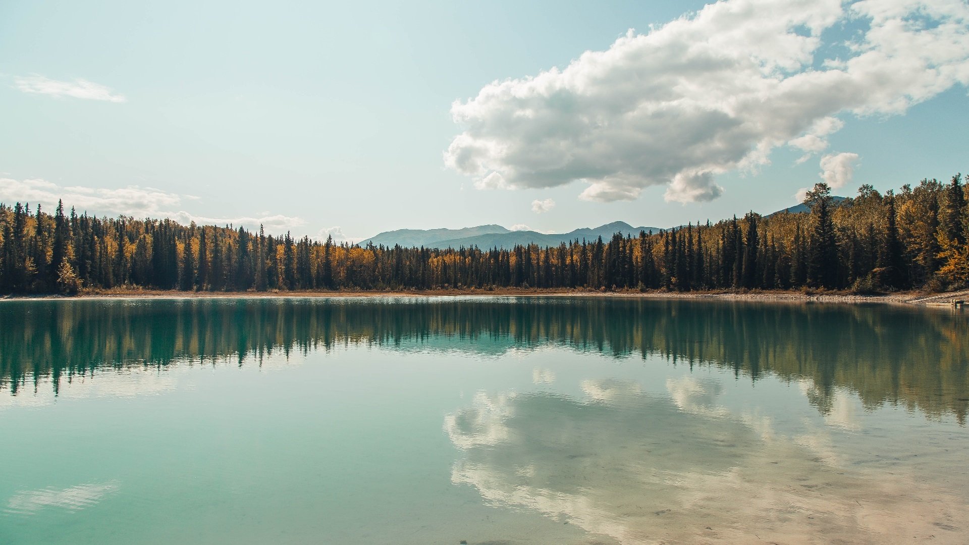 新大陆的足球革命,阿劳霍的一脚,掀翻了旧世界的秩序