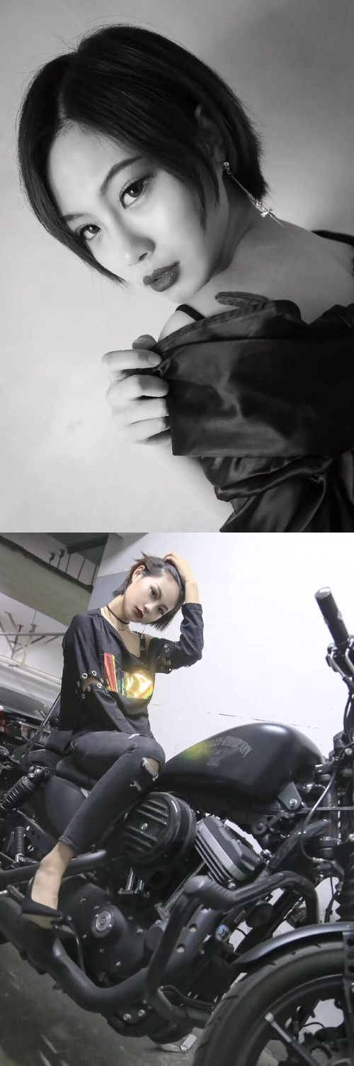 魔都结界,当上海大鲨鱼在平行宇宙封锁迈阿密热火