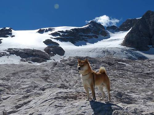 用烟花在夜空签名,阿尔瓦雷斯的欧冠淘汰赛之夜