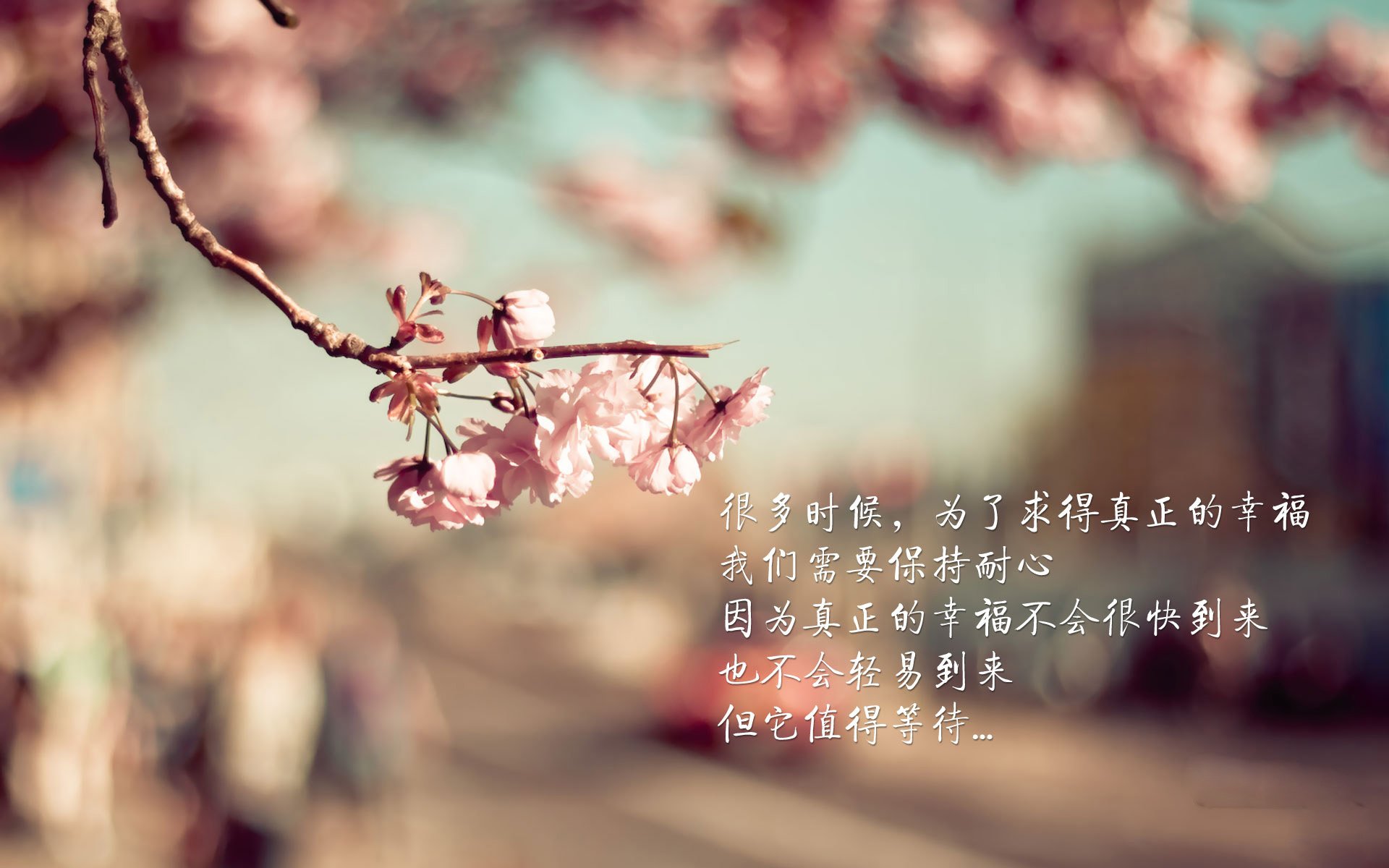 双线焦点，从英超德比到亚洲碾压，体育如何成为共同语言？