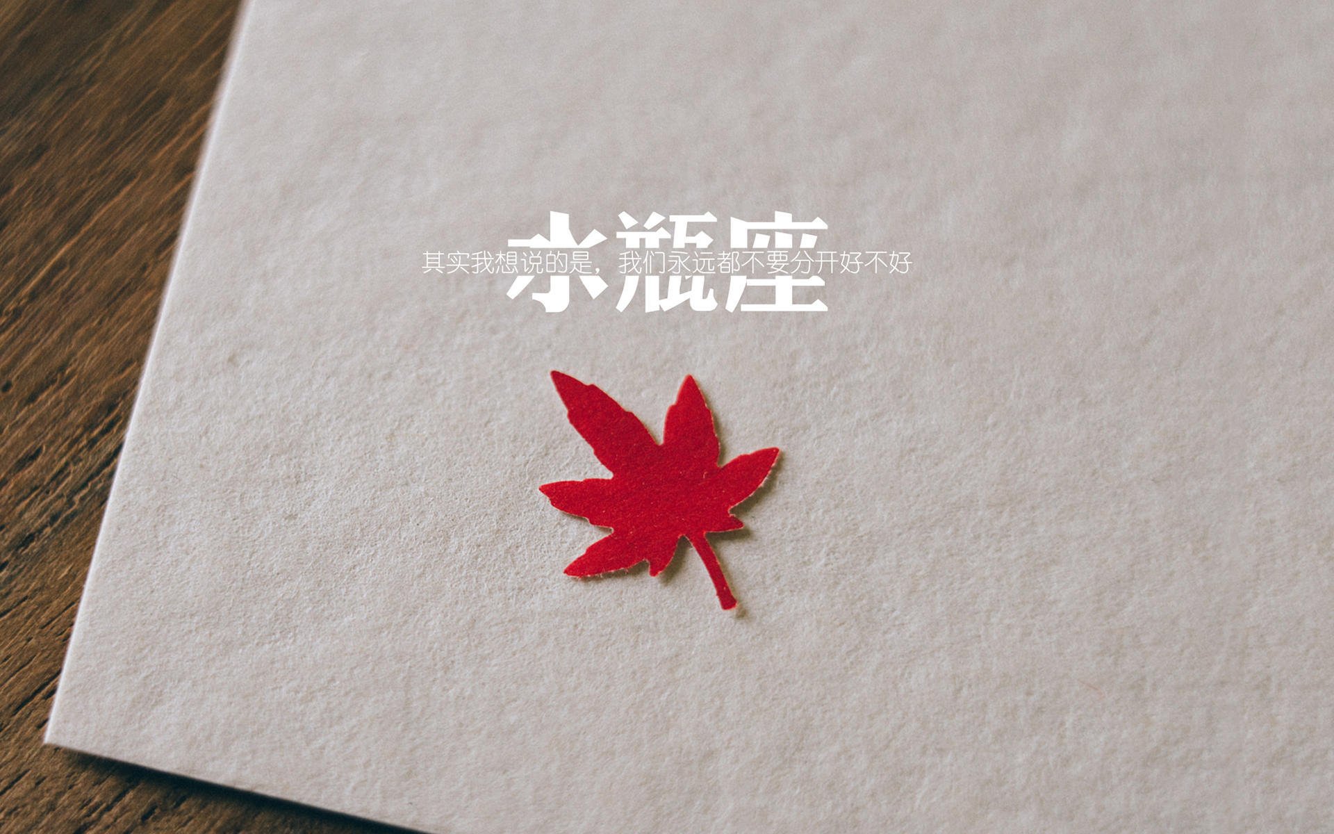 龙吟绿茵,当卡瓦哈尔统治全场时,东方看台粉碎的不只是美国幻梦