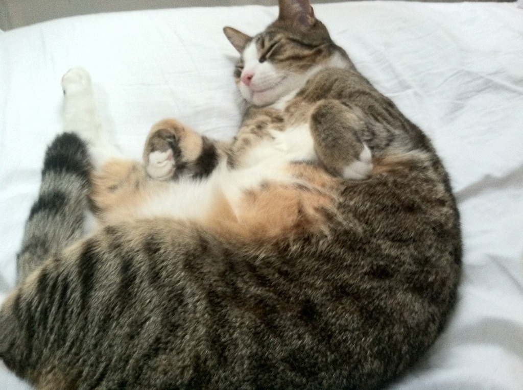 沉默的双刃,利拉德斩落步行者,硬仗之王的无声宣示