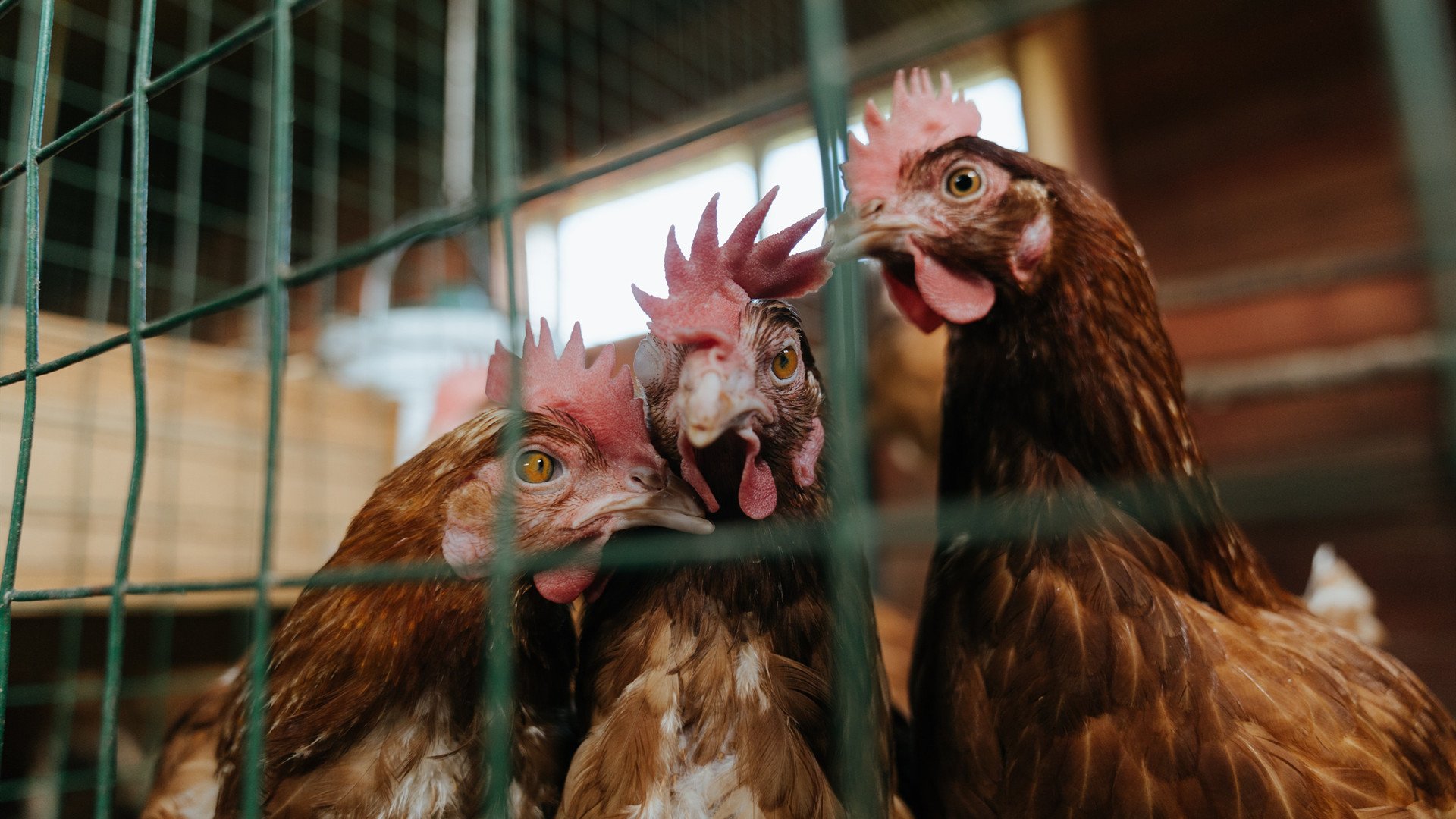 唯一性，那个改写历史的雨夜，与一个被低估的关键先生