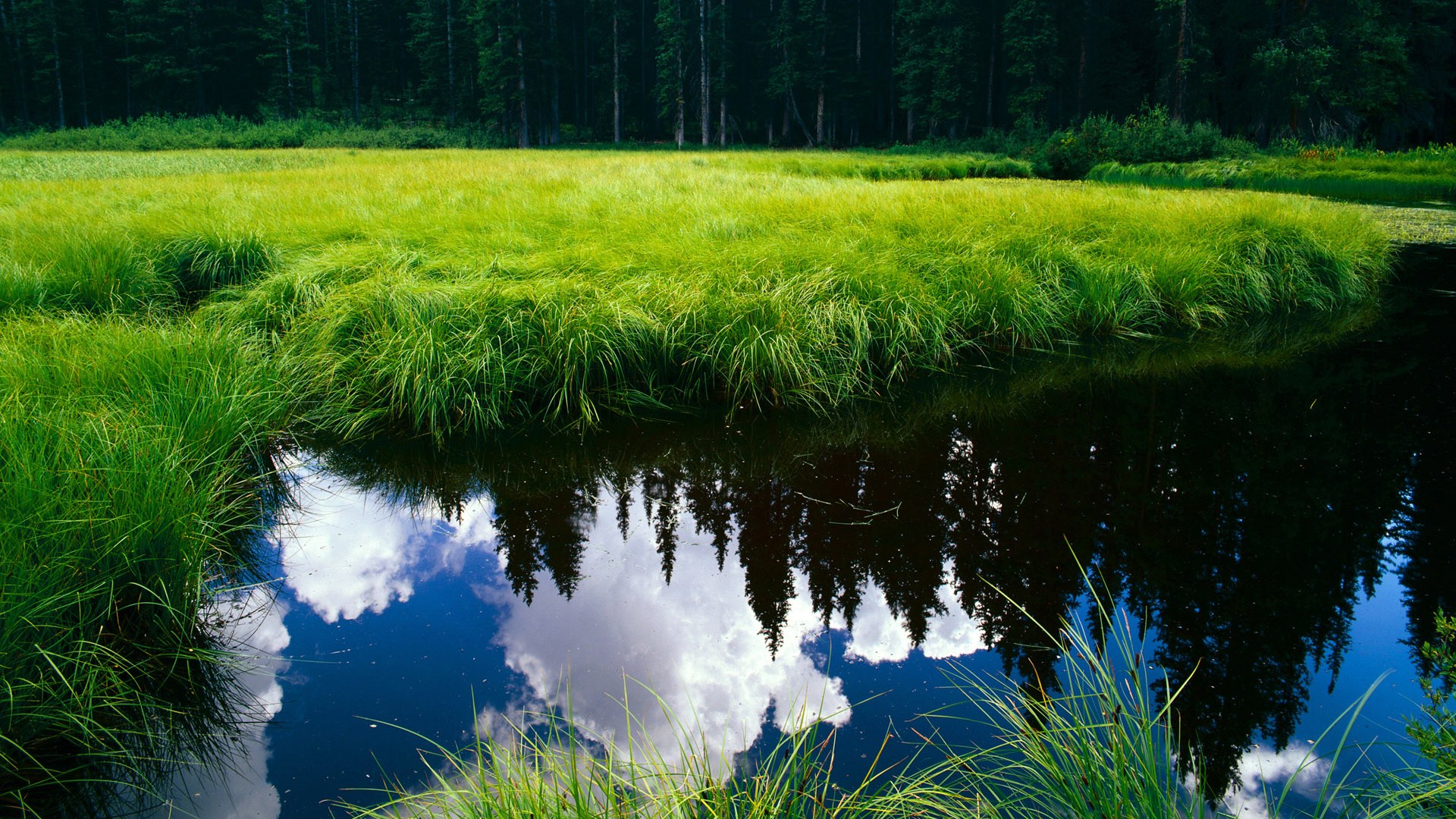 毕尔巴鄂铁血防线遭质疑，金玟哉用最锋利的矛踏平阿尔及利亚