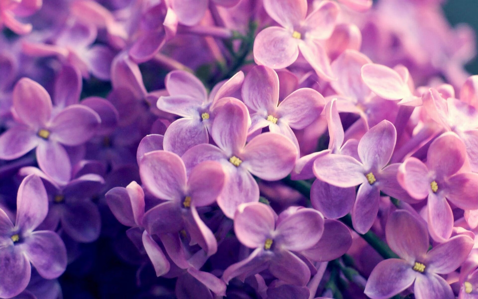 镜像·若日尼奥，一场绿茵场上的平行宇宙