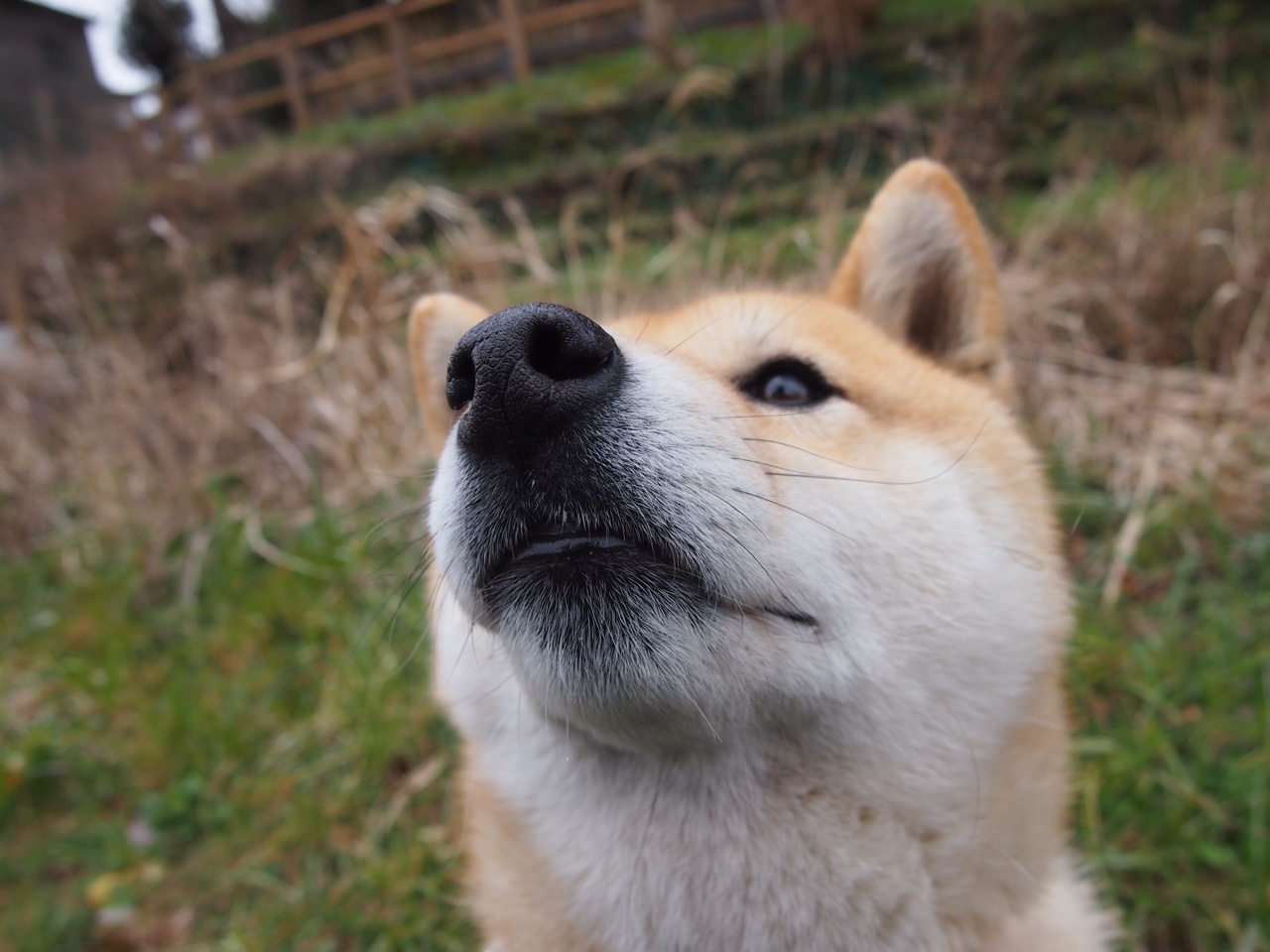 双城记,防守艺术的巅峰与进攻利刃的轻吟