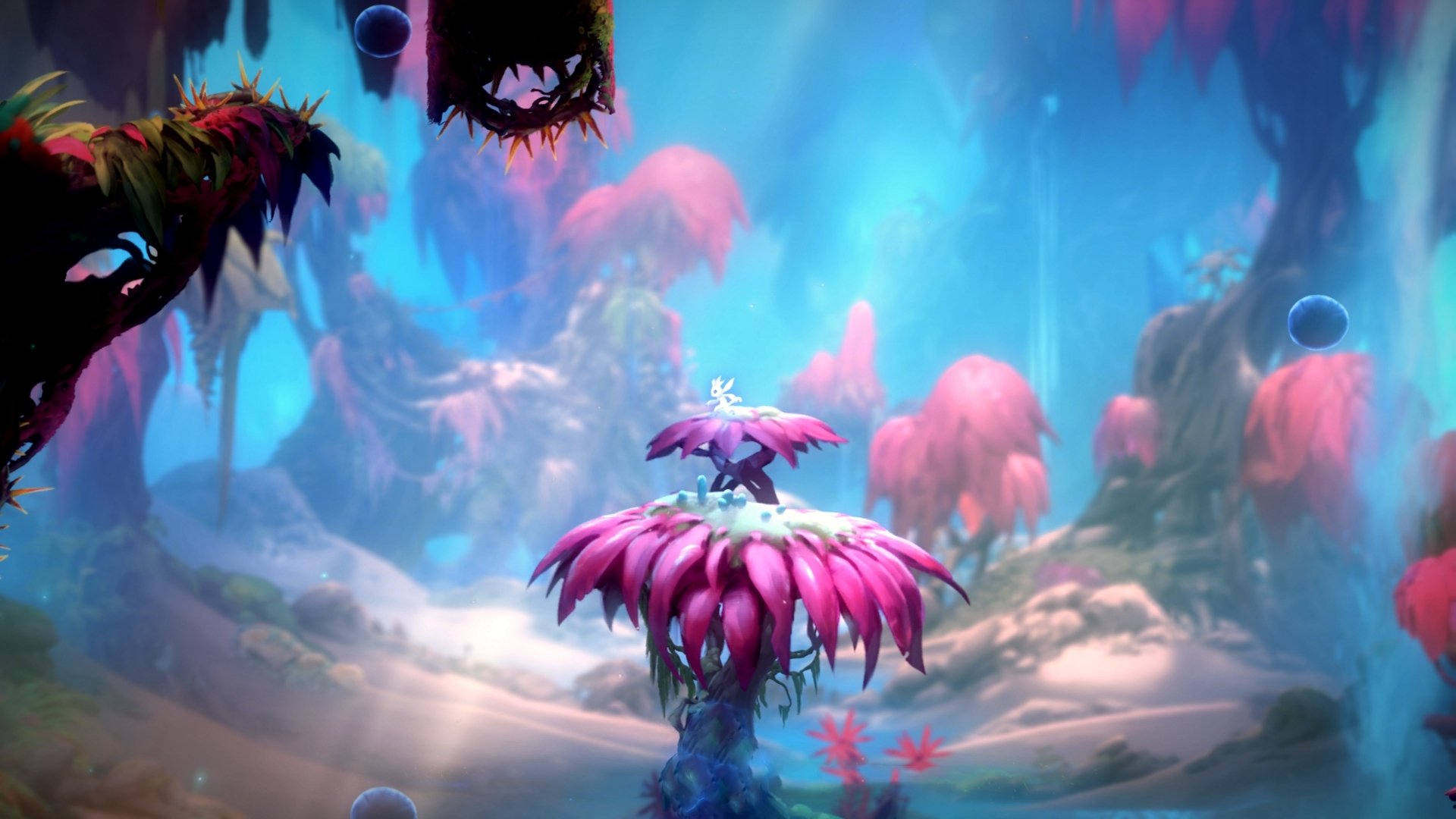 双星闪耀,雷恩一剑封喉,孙兴慜擎旗定鼎