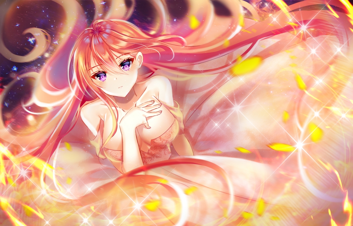 算法逻辑的胜利?当马克西·维斯塔潘以拉满评分的姿态赢得F1争冠夜