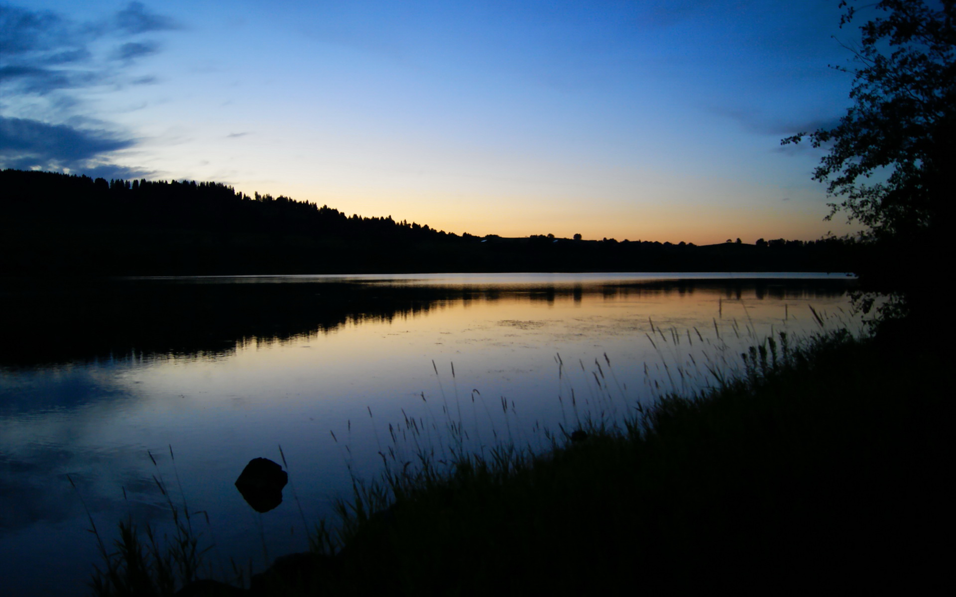 黄蜂尾针刺穿天山防线—从美加墨风暴看跨界竞技哲学