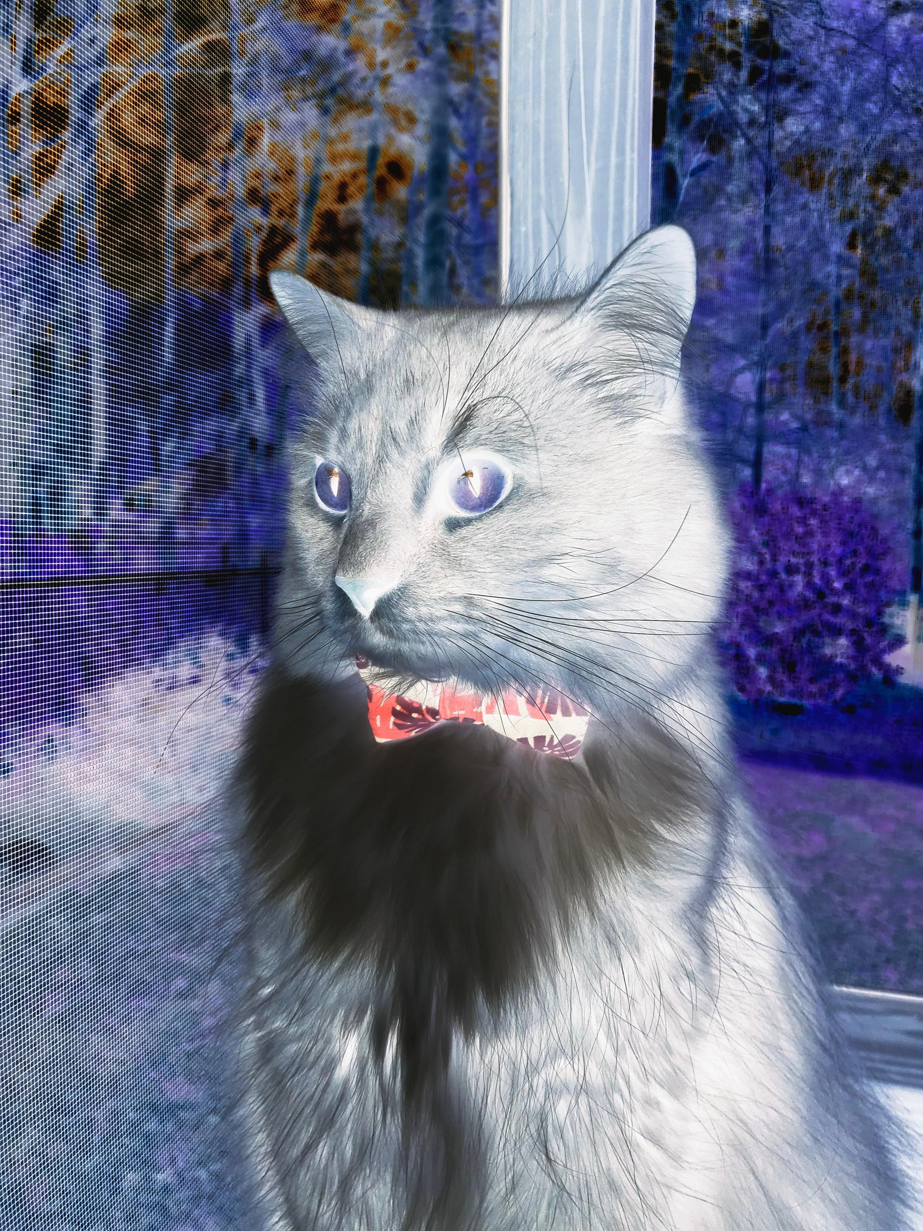 最后一个球的宇宙，当马克西的绝杀成为时间唯一的刻度