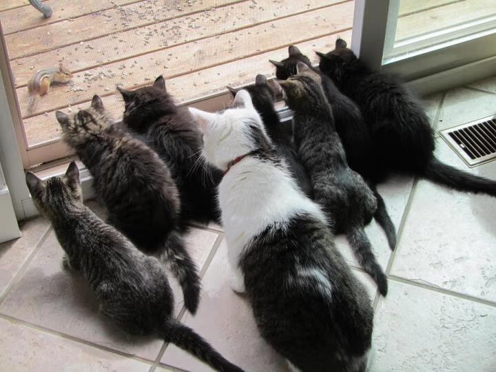 2026世界杯H组绝唱,莱万多夫斯基的致命一击,匈牙利掀翻意大利王朝