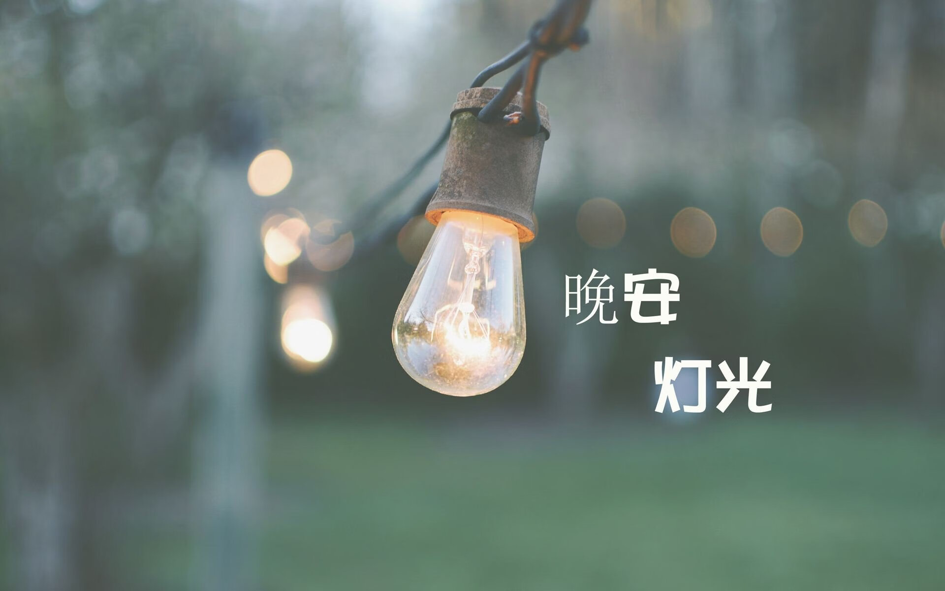 黑马奔腾,2026世界杯C组罗马尼亚完胜奥地利,罗德里戈领衔替补奇兵惊艳世界